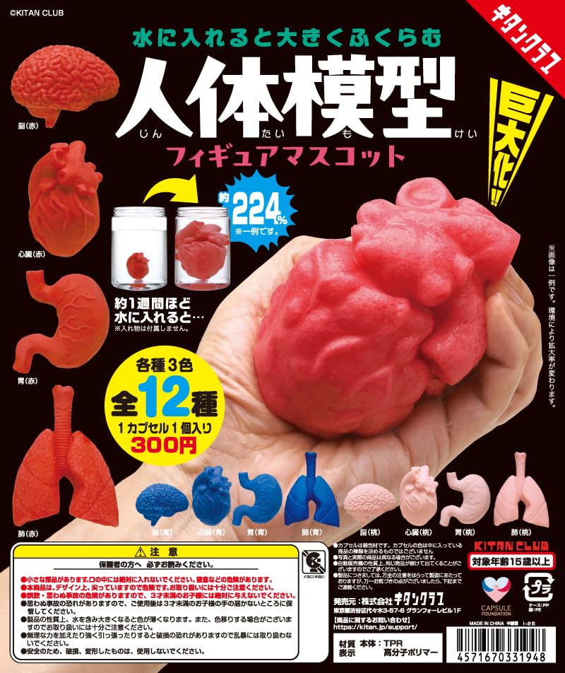 Human Body Model Figure Mascots That Expand When Put In Water [Complete Set of 12] Gacha