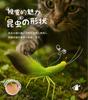 HOLYCAT Cat Toy, Insect-Shaped Cat Teaser with Natural Feathers, Perfect for Solo Play, Includes Bell, Popular Cat Toy, Fishing Pole, Unique Design,