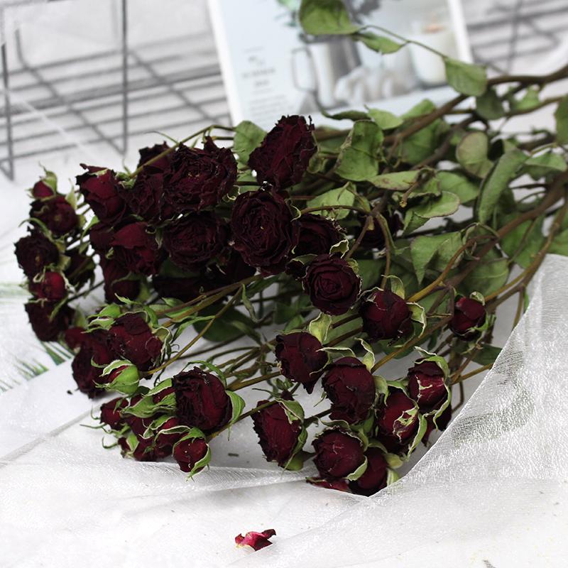Small Dried Rose Buds for DIY Flower Arrangements and Home Decor