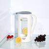Heat-Resistant Glass Water Pitcher