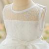 Little Girls Black Hollow Lace Mesh Sleeveless Princess Party Dress