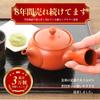 Tokoname Ware Teapot To Wash Stainless Steel Tea Strainer Included Tea Leaves In Vermilion Suitable for Japanese-made [Easy / / 300ml] Won't Clog.