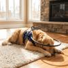 Breathable Blind Dog Safety Bumper Reflective Blind Dog Harness Pet Collision Collar  Pet Safety
