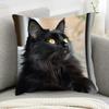 1pc Maine Coon Cat Pillow Cover 45.72X45.72 Cm - Made of Soft And Smooth Polyester Short Plush Fabric, Featuring a One-Sided Printed Design of a Black