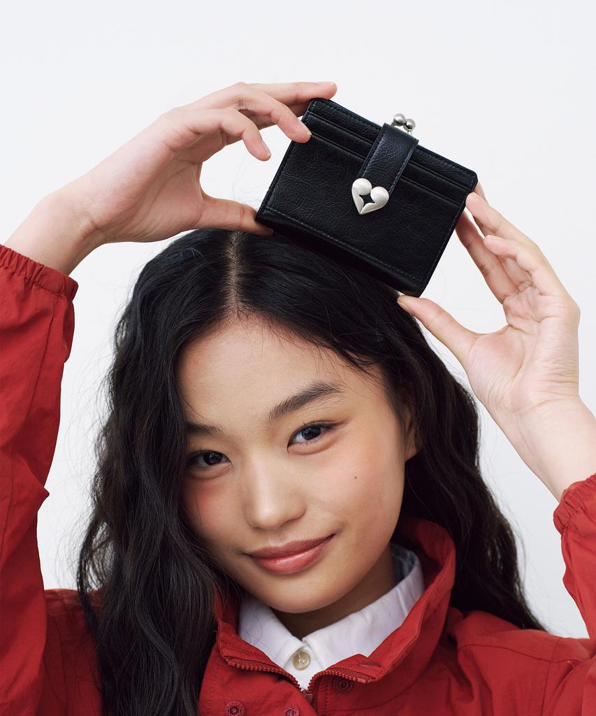 Fennec Crinkle Hearty Frame Bridge Wallet - Black