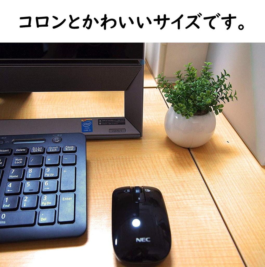 Miniature Interior Greenery - Artificial Plants (Eucalyptus, Air Plants, and Fan-Shaped Greenery) - 3-Piece Set