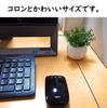 Miniature Interior Greenery - Artificial Plants (Eucalyptus, Air Plants, and Fan-Shaped Greenery) - 3-Piece Set