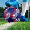 LOSC Lille Indoor Soccer Ball Colorful All Ages Size 5 Machine Stitched PVC Competition Ready Durable High-Bounce