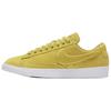Low Top Skateboard Shoes Women's AA3962-300