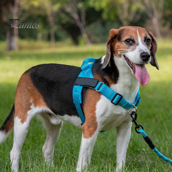Heavy Duty Nylon Harness for Medium Dogs No Pull Dog Harness, Adjustable Vest with Handle, Breathable Durable Metal D-ring Pet Padded Large Dogs, Safe