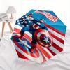 Captain America, Shield Automatic Opening and Closing Umbrella, Compact Travel Umbrella, Lightweight and Portable, Suitable for Beach Commut