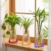 5Pcs Folding Hydroponic Floral Vase Shatterproof Plant Containers  Outdoor Travel