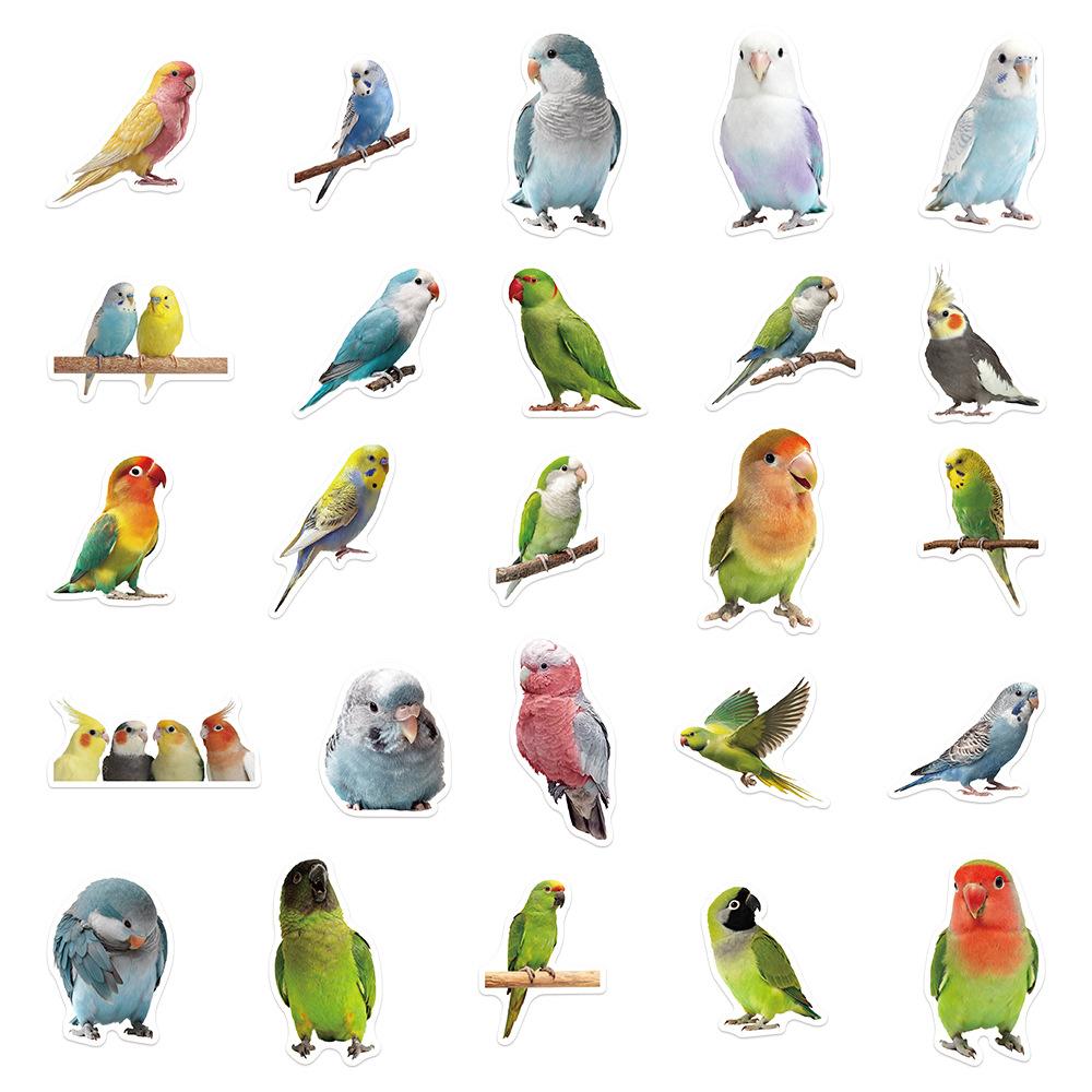 50Pcs/Set Parrot Series 03 Waterproof Stickers DIY Fashion Doodle Decals Stickers