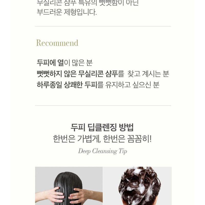 THE PURE LOTUS - Lotus Leaf Shampoo For Oily Scalp Jumbo