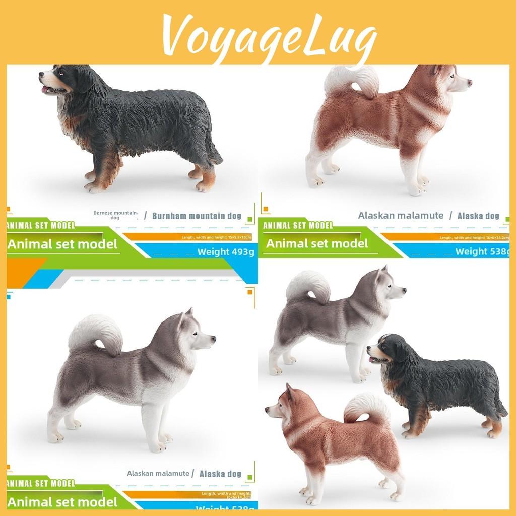 Pet Bernese Mountain Dog Alaskan Pvc Static Models For Kids Learning Gift