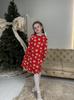 Girls’ Warm Dress – Soft Brushed Knit with Back Snap, Elegant & Comfy, Demi-season, 6004-024 HC