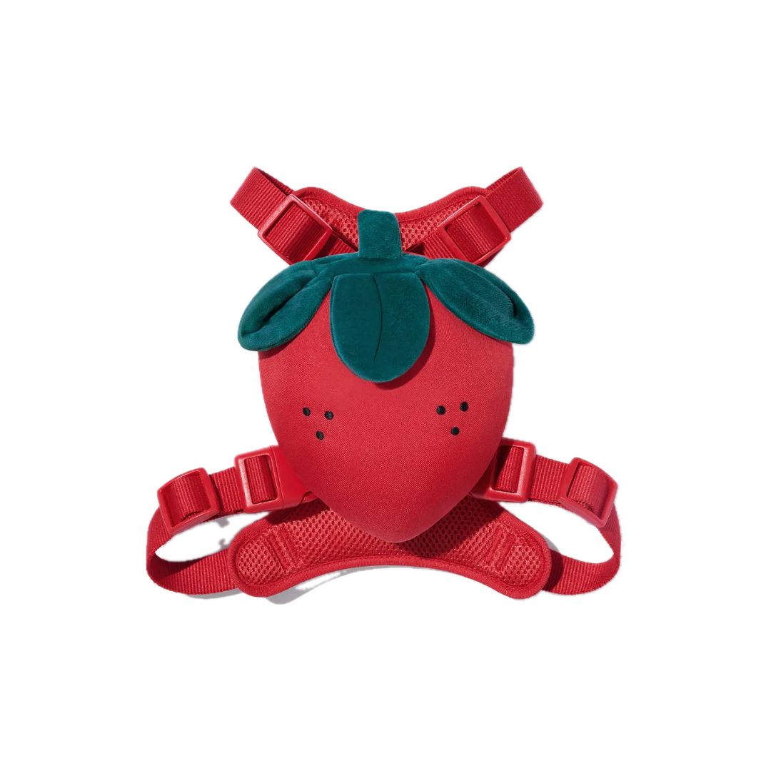 

VETRESKA Strawberry Backpack Harness Set (Backpack + Harness + Leash) XXS