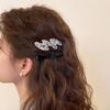 2Pcs/set New Women Temperament Wave Shape Acetic Hairpins Sweet Hair Decorate Side Hair Clips Barrettes Fashion Hair Accessories
