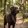 Guia de Couro Genuíno de Vaca para Cachorro Tom Marrom Guia de Pastor Exercício Diário para Pet