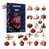 Geschenke für Medizinstudenten 2026 Anatomie Adventskalender, 24-tägiges Körperorgan-Schmuckset, Sammlerstücke für Anatomie-Enthusiasten Hängedeko für