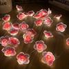 Illuminazione – Decorazioni luminose