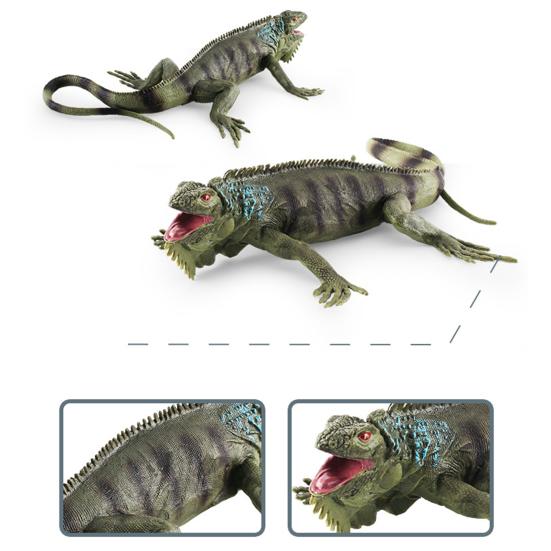 Reptilienstatue Modell Simulierter Niedlicher Leguan Chamäleon Bartagame Solides Modell Dekoration PVC Reptil Amphibie Figur Ornament Lernspielzeug