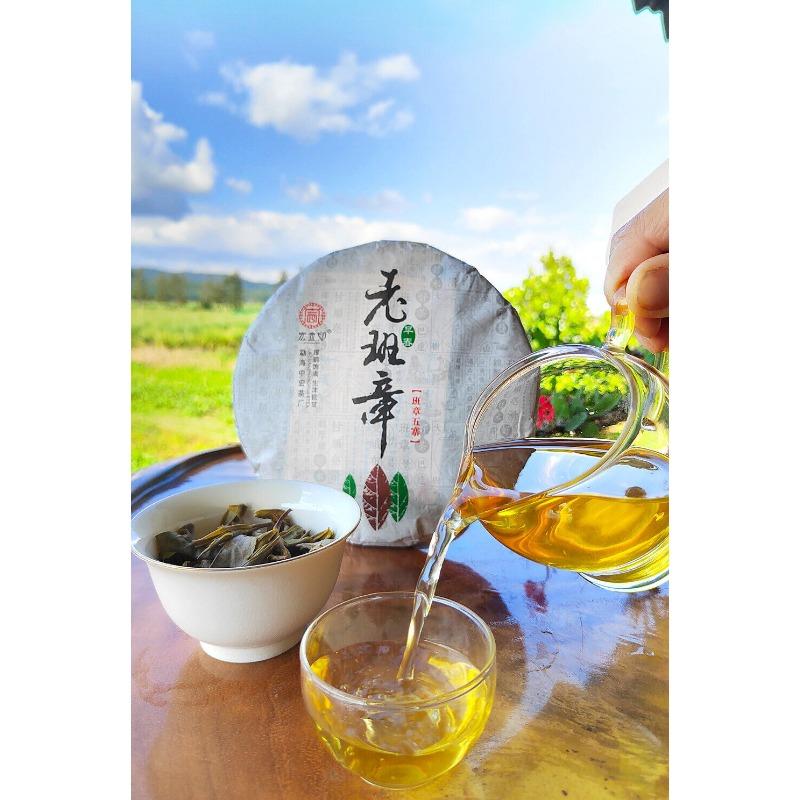 357g Ming Qian Ancient Tree Frühlingstee Pu'er Rohtee Siebensamen-Kuchentee