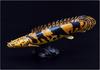 Polypterus endrikerii Soft Model (FF-004)