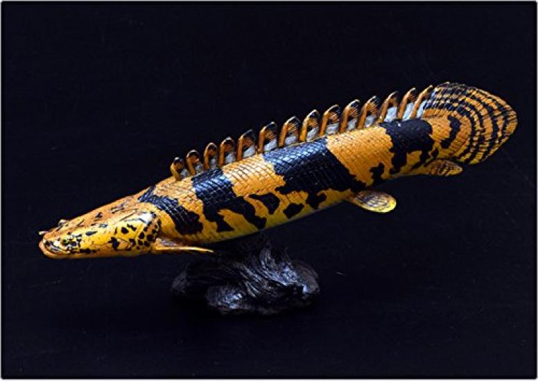 Polypterus endrikerii Soft Model (FF-004)