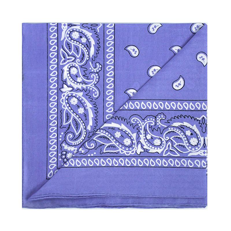 2026 Y2K Girl Square Scarf Women Paisley Hip-Hop Vibe Headband Foulard Hijab Hair Bands Neckerchief Female Head Wraps Bandana