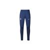 144 Ss23 Fff Strike Squadra Nazionale Francese Coppa del Mondo Qatar Calcio Allenamento Stampato Slim Fit Vita Media Pantaloni Sportivi Uomo pantaloni Blu Scuro DH6480-412