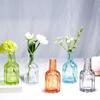 Nordic Retro Glass Vase - Mini Decorative Hydroponic Bottle for Living Room Decor