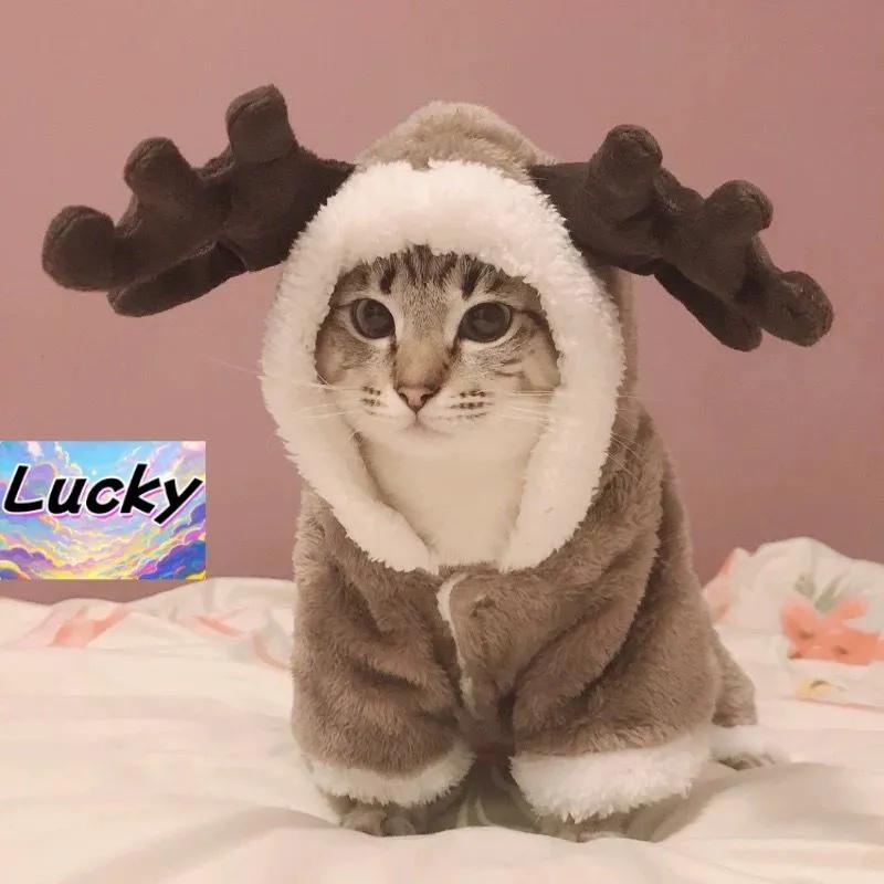 

Одежда для собак Одежда Рождественский Лось Хлопковое Пальто Одежда для Домашних Собак Теплая Толстая Коралловый Флис XS коричневый