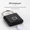 Qingwa Smart Fingerprint Padlock