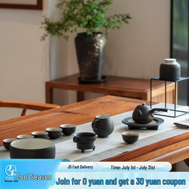 Edenus 13-Piece Ceramic Kung Fu Tea Set