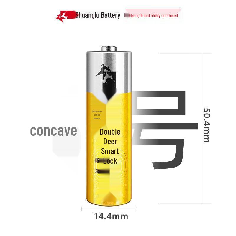 Shuanglu AA Alkaline Batteries for Smart Locks CN plug (adapter included)