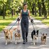 Multi Color Pet Rope Round Rope Pet Walking Strap Small Dog Dog Leash  Pet Training