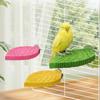 Pet Cockatiel Perch Resin Plant Shape Branch Bird Standing Easy Installation Non-slip Parrot Standing Pole Aviary For Cockatiels