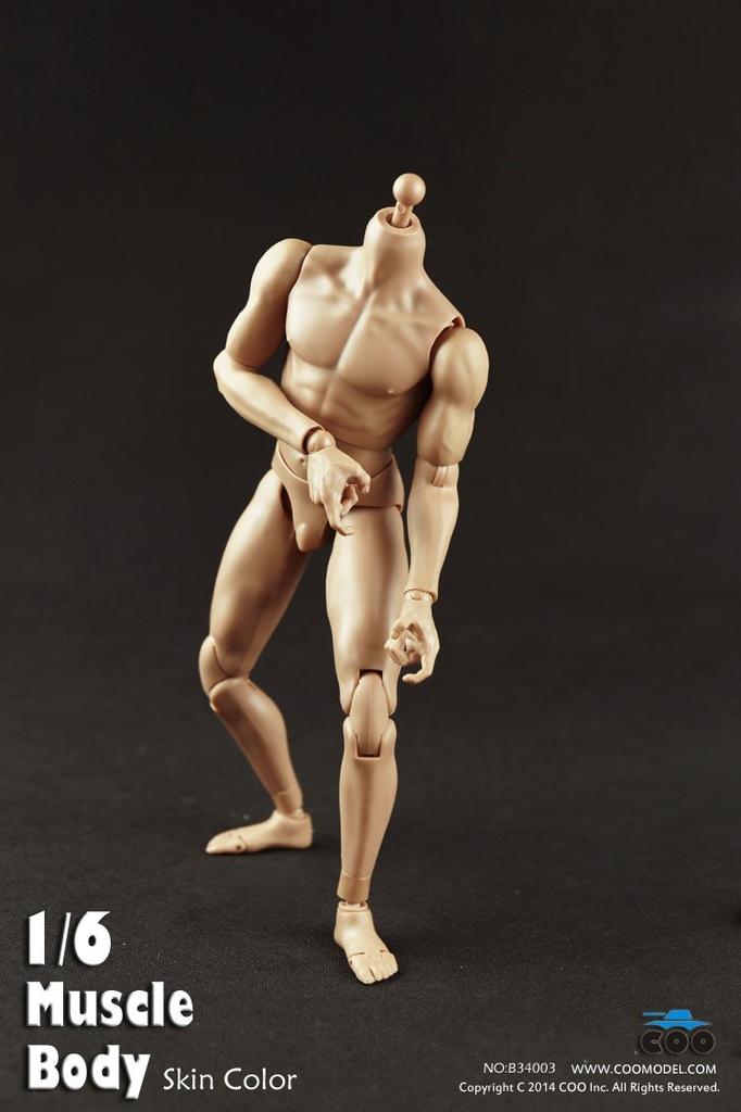 COOMODEL COO Male Body Action Body for Figure [TOYBARJAPAN] B34003(BD003) 1/6