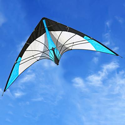 Bunter großer Sound-Drachen 1,2M Dreieck-Stunt-Drachen zum Spielen