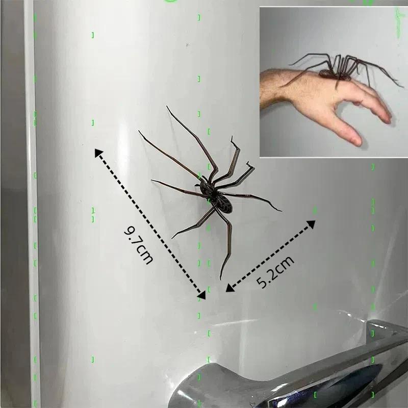 Halloween Home Decor Spider Evil Fun Friend Gift Fun Novelty Magnetic Fridge Accessories Spider Magnet Home Decor Accessories
