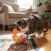 Treat Dispenser Cat Chew Toy Bite-resistant Interactive Cat Toy Leak Food Cat Toy  Dental Health