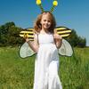 Fairy Wings Adult Women Halloween Fairy Costume for Women Accessories Butterfly Ladybug Bee Cosplay Fairy Costume Angel Wings