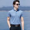 30% Mulberry Silk Polo Shirt for Men
