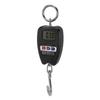 Portable Electronic Scale High Accuracy Digital Hanging Scale 200kg Weight Capacity Crane Scale for Food Luggage