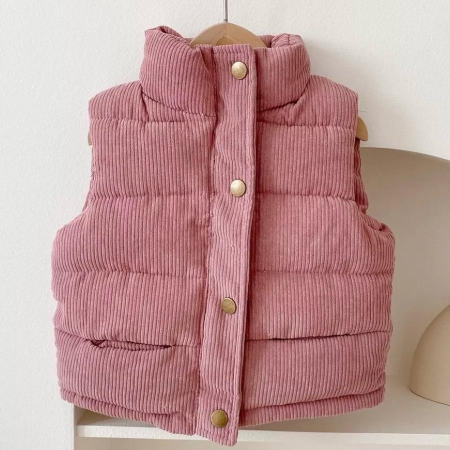 

Детский вельветовый утепленный жилет со стойкой, легкая безрукавная верхняя одежда на весну-осень, возраст 1–9 лет, розовый, серый, белый 110 (2T–3T) амарант розовый