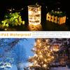 Remote USB Control Copper Wire Low Voltage Light String 10M20M30M 300Leds 8 Function Christmas Led Copper Wire Light String