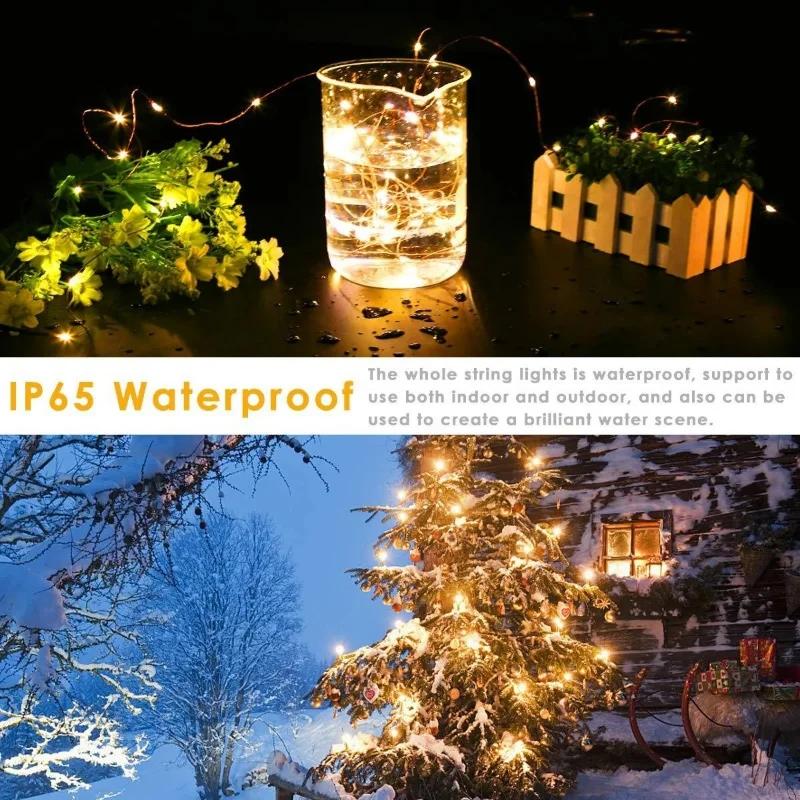 Remote USB Control Copper Wire Low Voltage Light String 10M20M30M 300Leds 8 Function Christmas Led Copper Wire Light String