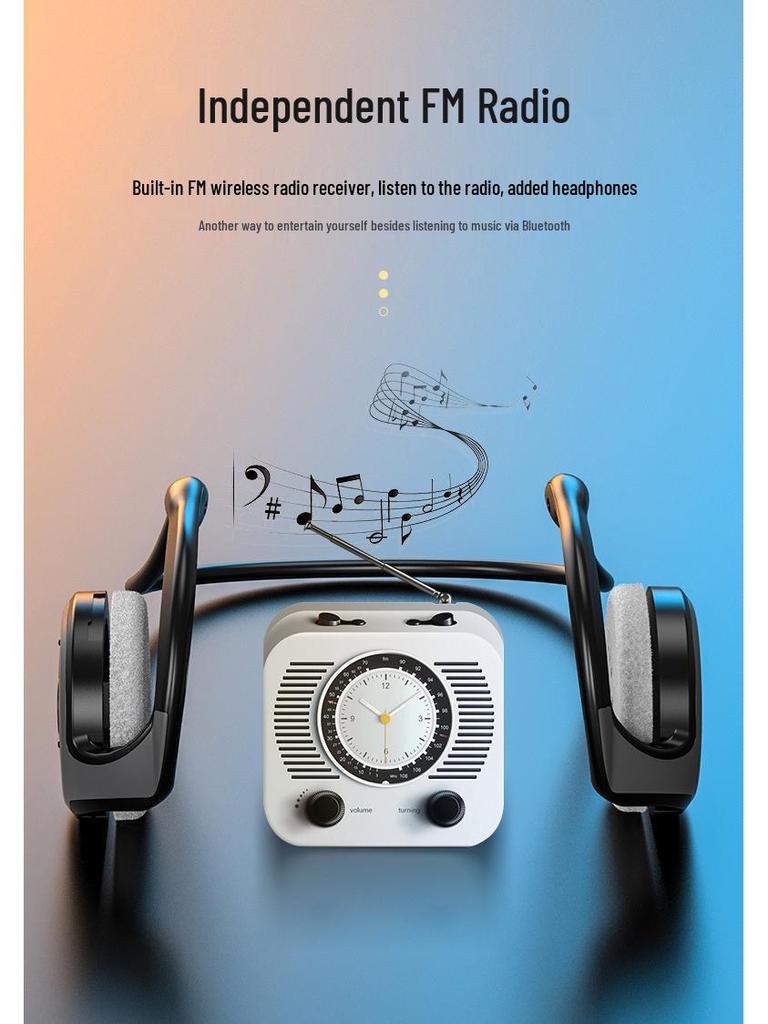 Sports Noise-Cancelling Bluetooth Ear Hook Earphones with TWS & Radio Function