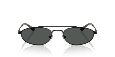 Sunglasses 0EA2157 MATTE BLACK 54 [Emporio Armani]
